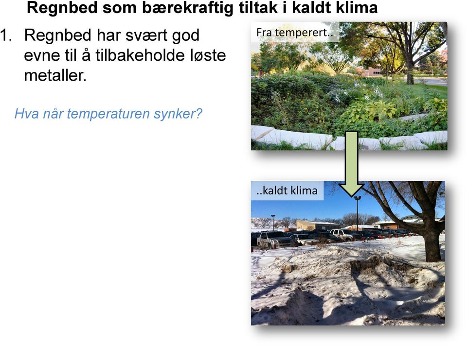 Regnbed har svært god evne til å