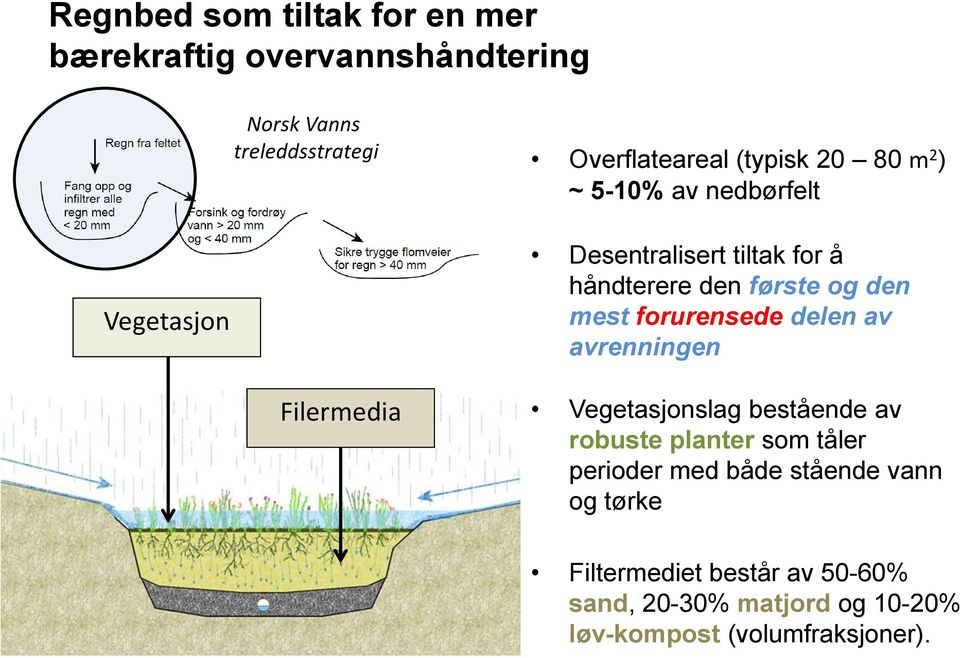 mest forurensede delen av avrenningen Filermedia Vegetasjonslag bestående av robuste planter som tåler perioder