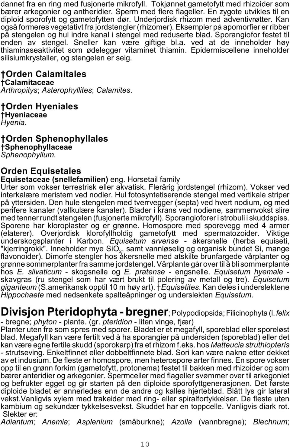 Eksempler på apomorfier er ribber på stengelen og hul indre kanal i stengel med reduserte blad. Sporangiofor festet til enden av stengel. Sneller kan være giftige bl.a. ved at de inneholder høy thiaminaseaktivitet som ødelegger vitaminet thiamin.