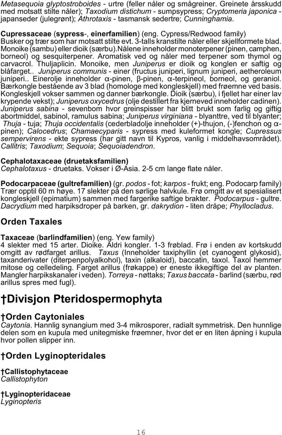 Cupressaceae (sypress-, einerfamilien) (eng. Cypress/Redwood family) Busker og trær som har motsatt stilte evt. 3-talls kranstilte nåler eller skjellformete blad. Monoike (sambu) eller dioik (særbu).