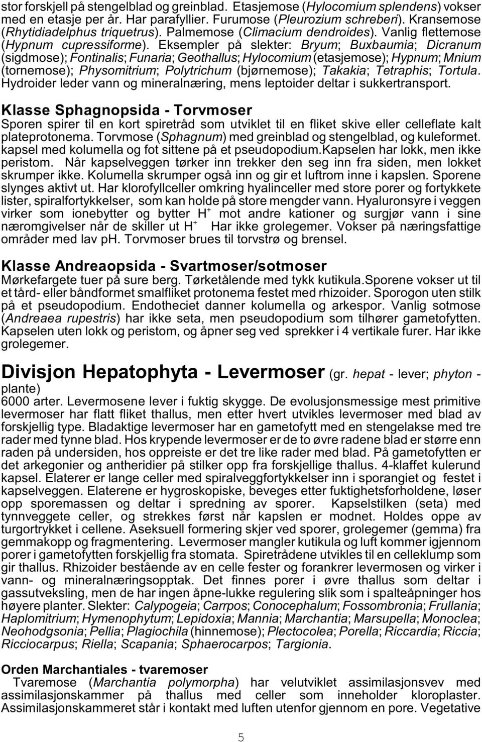 Eksempler på slekter: Bryum; Buxbaumia; Dicranum (sigdmose); Fontinalis; Funaria; Geothallus; Hylocomium (etasjemose); Hypnum; Mnium (tornemose); Physomitrium; Polytrichum (bjørnemose); Takakia;