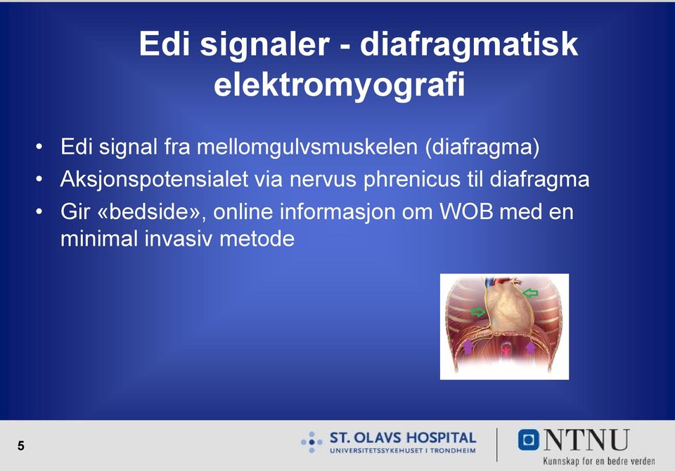 Aksjonspotensialet via nervus phrenicus til diafragma