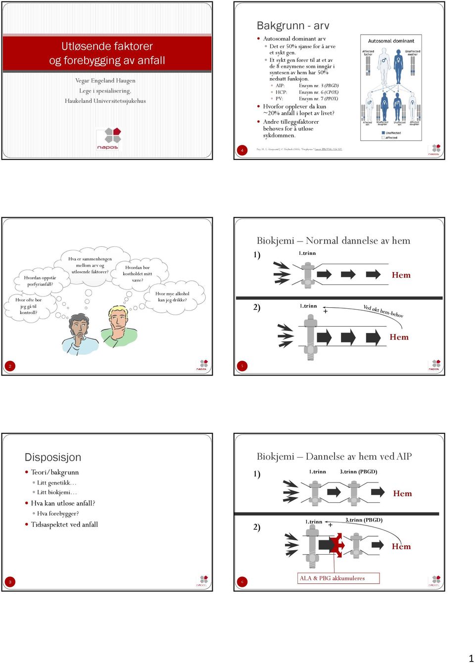 7 (PPOX) Hvorfor opplever da kun ~20% anfall i løpet av livet? Andre tilleggsfaktorer behøves for å utløse sykdommen. 4 Puy, H., L. Gouya and J. C. Deybach (2010). "Porphyrias.