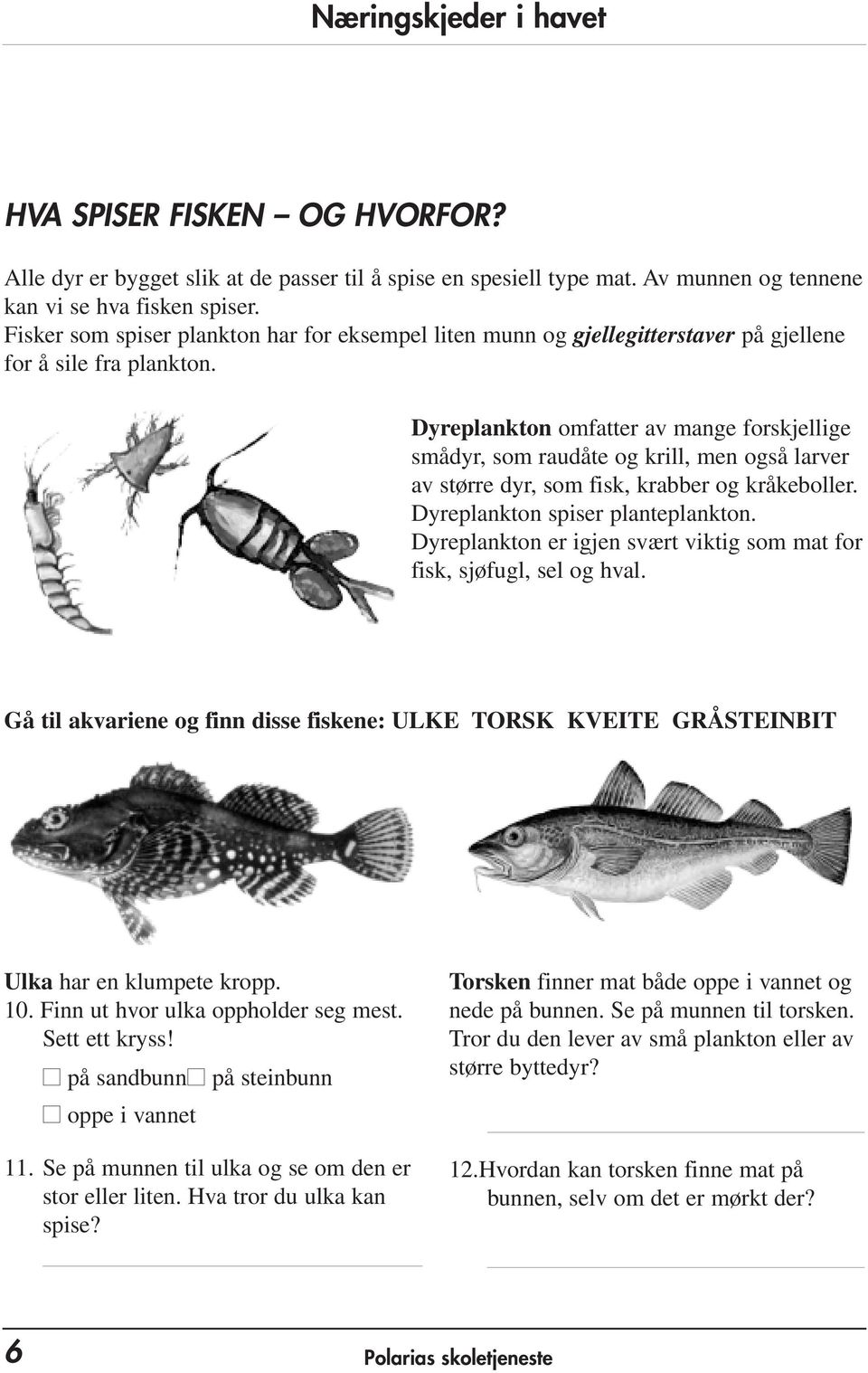 Dyreplankton omfatter av mange forskjellige smådyr, som raudåte og krill, men også larver av større dyr, som fisk, krabber og kråkeboller. Dyreplankton spiser planteplankton.