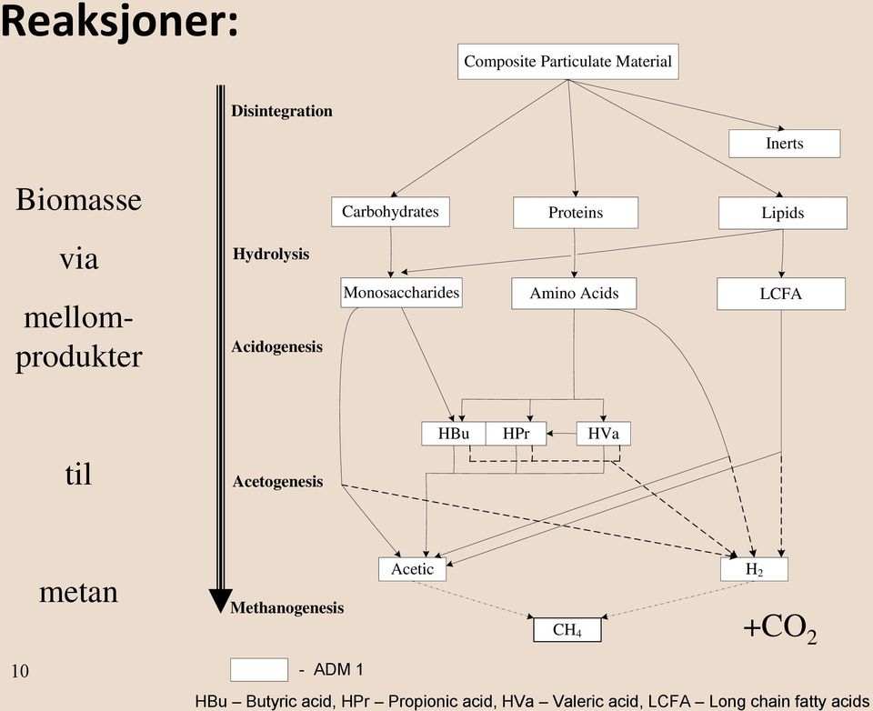 Acids LCFA til Acetogenesis HBu HPr HVa metan Methanogenesis Acetic CH 4 H 2 +CO 2 10