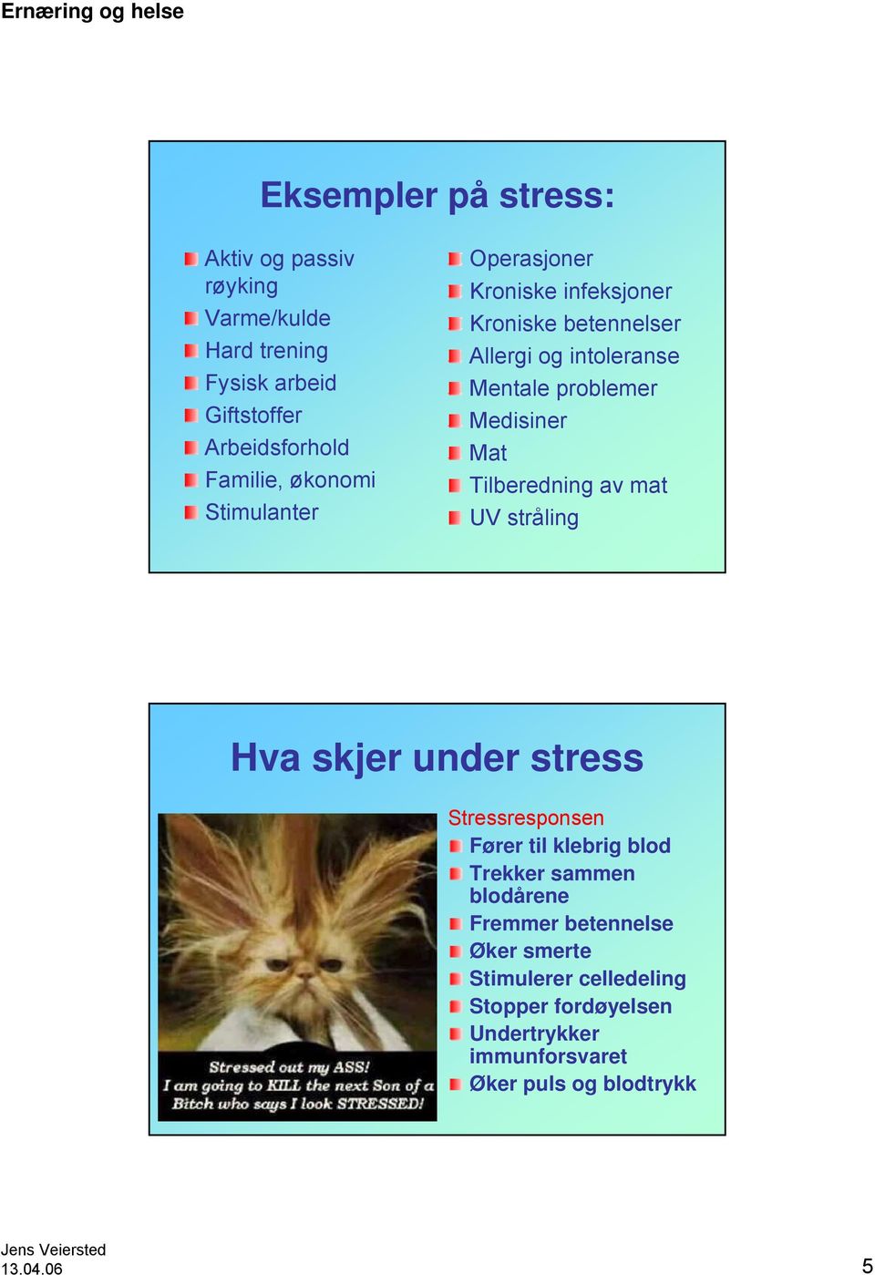 Mat Tilberedning av mat UV stråling Hva skjer under stress Stressresponsen Fører til klebrig blod Trekker sammen blodårene