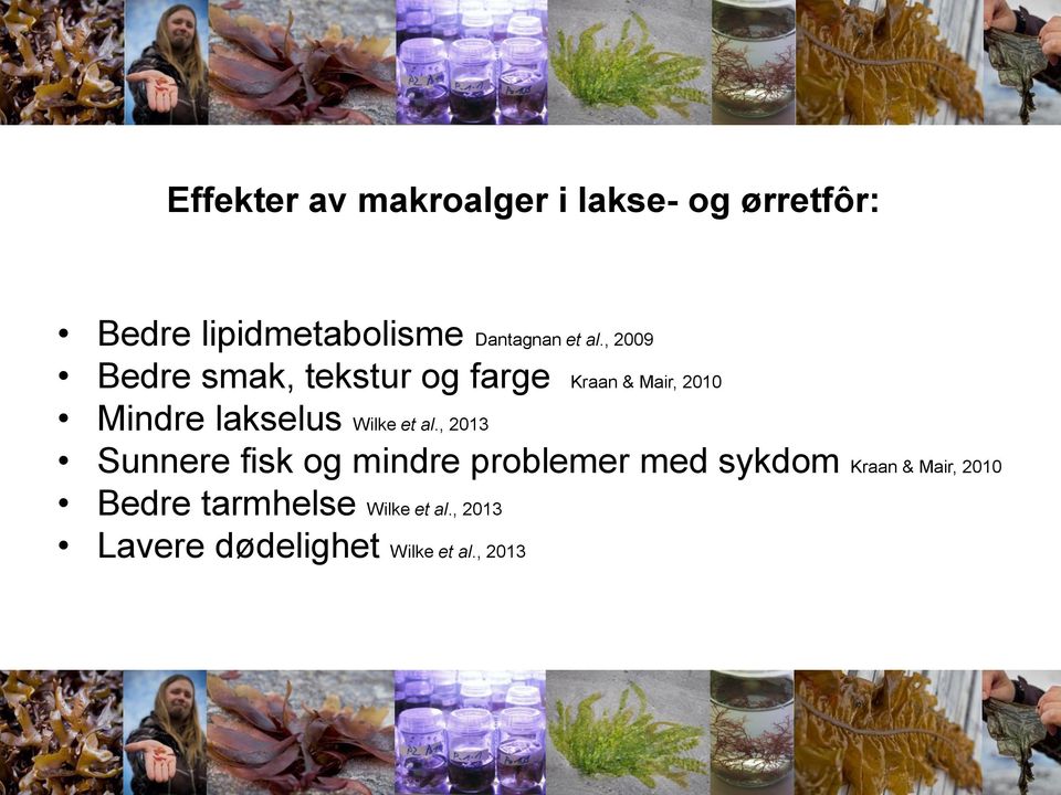 , 2009 Bedre smak, tekstur og farge Kraan & Mair, 2010 Mindre lakselus Wilke