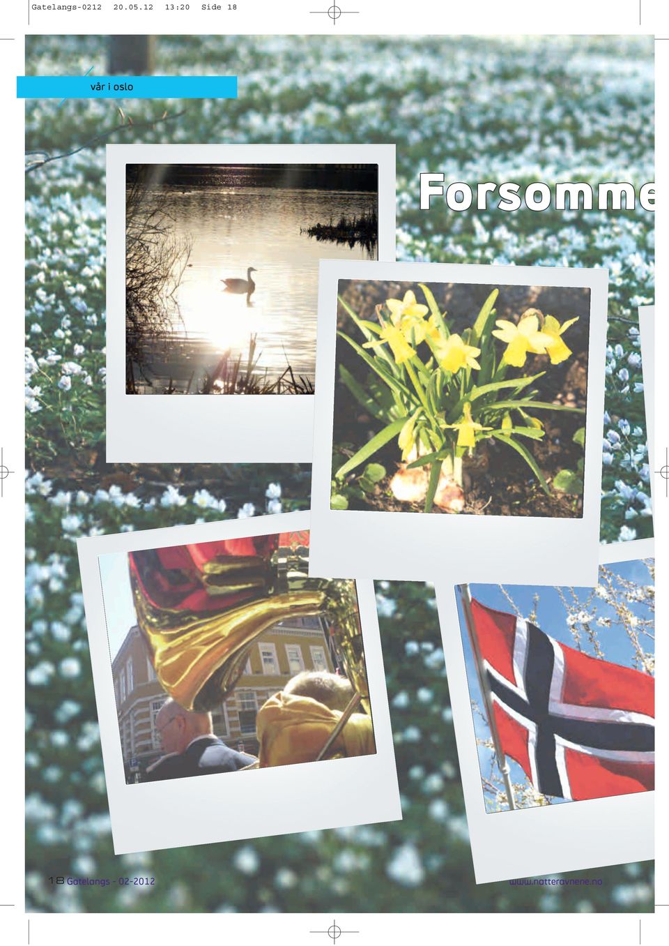 oslo Forsomme 18