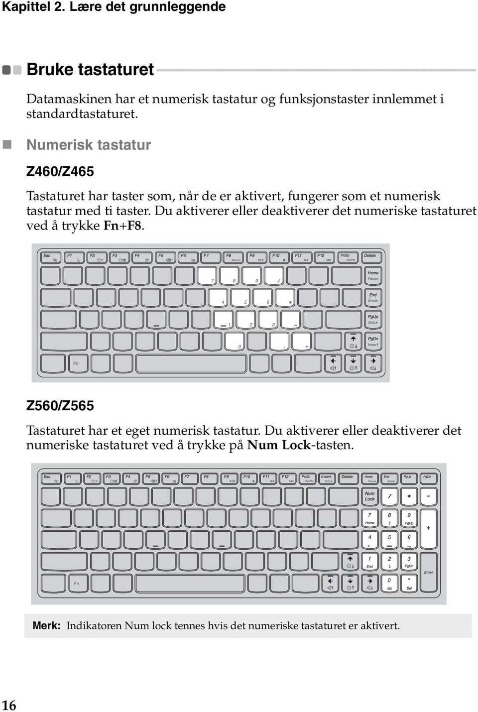 - - - - - - - - - - - - - - - Datamaskinen har et numerisk tastatur og funksjonstaster innlemmet i standardtastaturet.