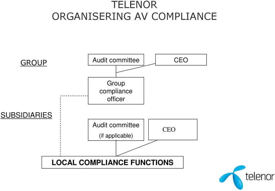 compliance officer Audit committee (if