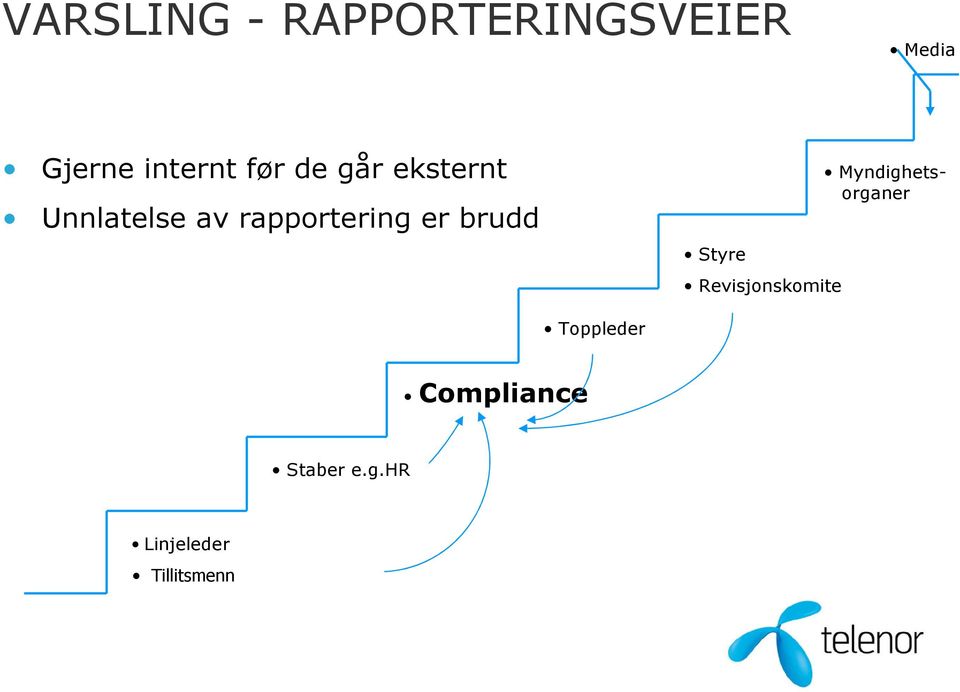 brudd Styre Revisjonskomite Myndighetsorganer