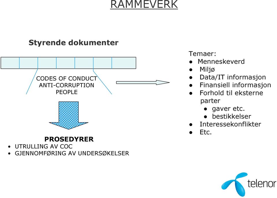 Temaer: Menneskeverd Miljø Data/IT informasjon Finansiell