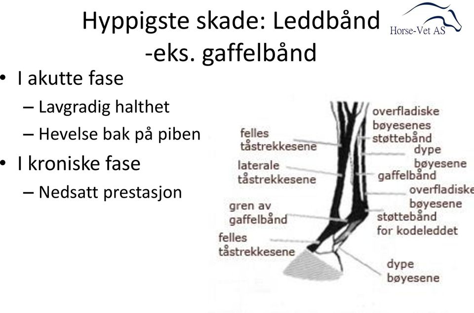 Hevelse bak på piben I kroniske