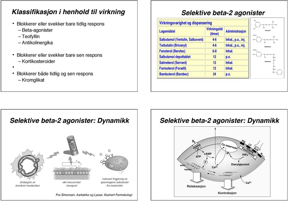 Salbutamol (Ventolin, Salbuvent) 4-6 Inhal., p.o., inj. Terbutalin (Bricanyl) 4-6 Inhal., p.o., inj. Fenoterol (Berotec) 6-8 Inhal. Salbutamol depottablet 12 p.o. Salmeterol (Servent) 12 Inhal.