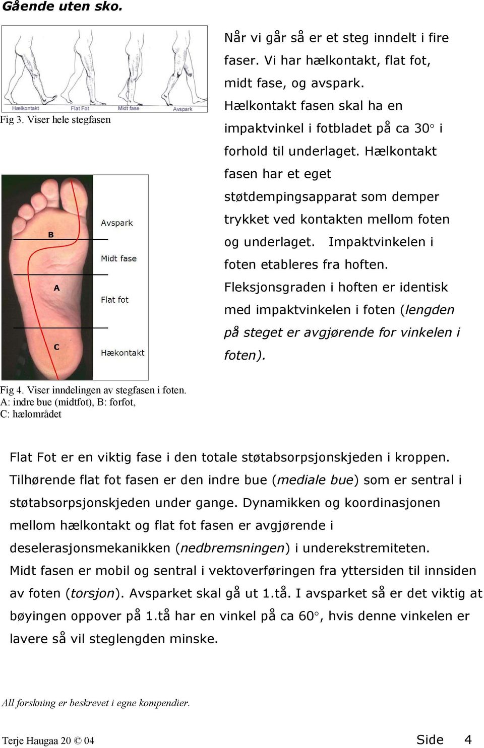 Hælkontakt fasen har et eget støtdempingsapparat som demper trykket ved kontakten mellom foten og underlaget. Impaktvinkelen i foten etableres fra hoften.