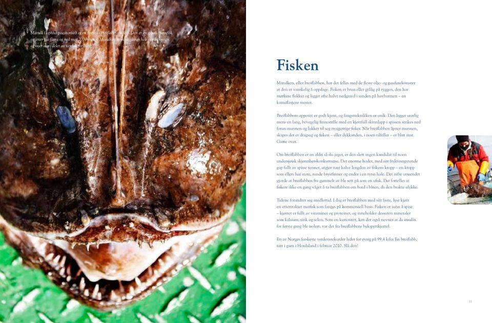 Fisken Marulken, eller breiflabben, har det felles med de fleste olje- og gassforekomster at den er vanskelig å oppdage.