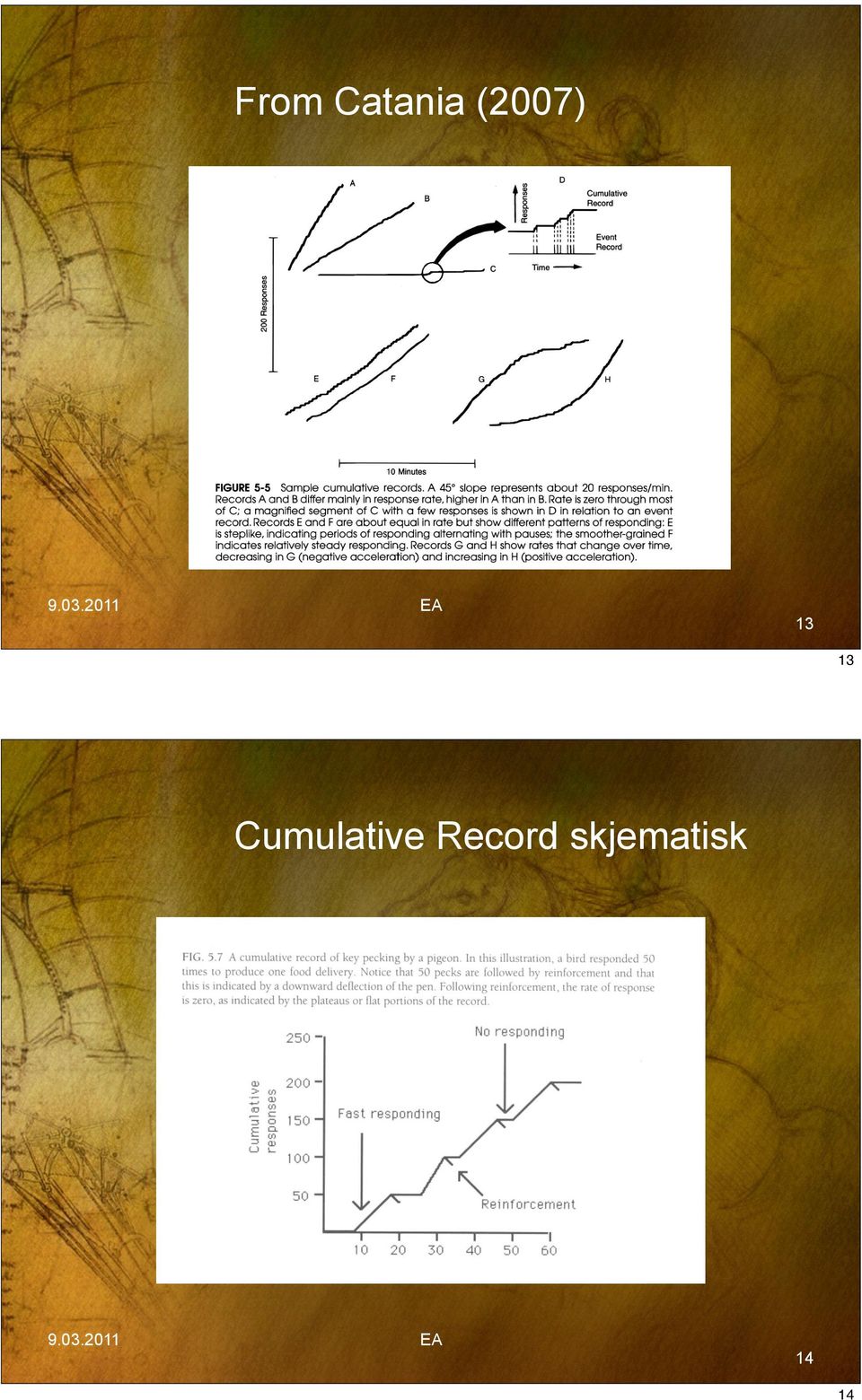 Cumulative