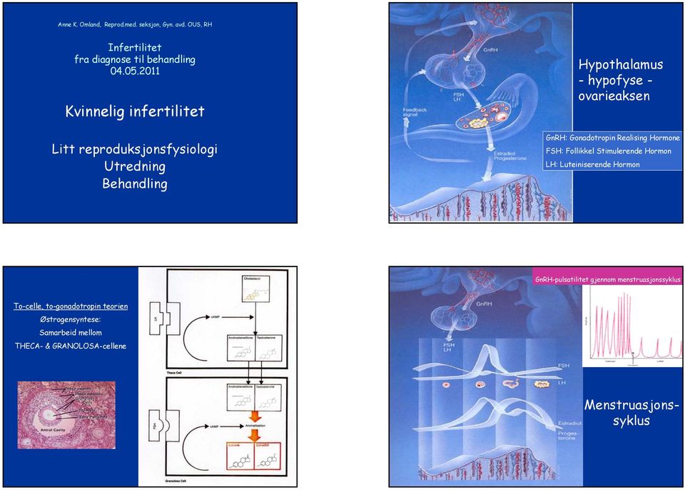 GnRH: Gonadotropin Realising Hormone FSH: Follikkel Stimulerende Hormon LH: Luteiniserende Hormon GnRH-pulsatilitet