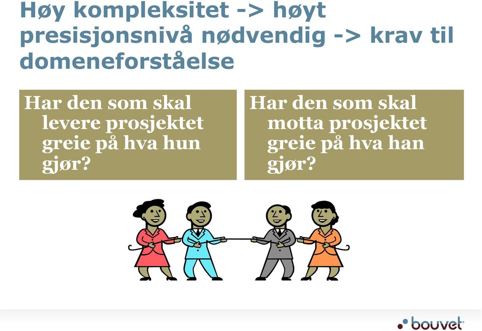 som skal levere prosjektet greie på hva hun gjør?