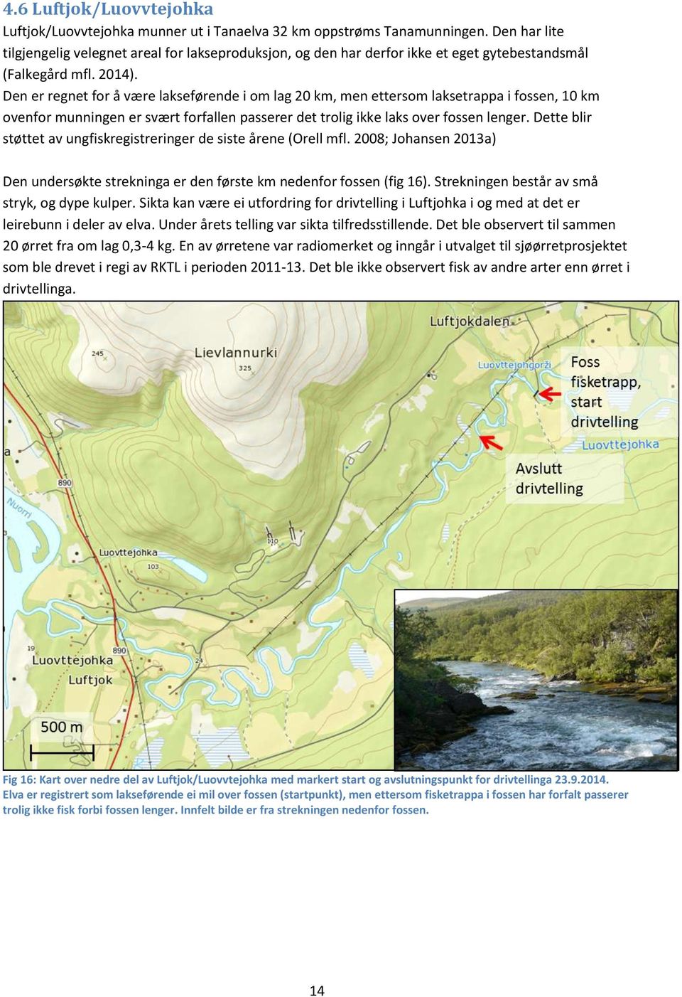 Den er regnet for å være lakseførende i om lag 20 km, men ettersom laksetrappa i fossen, 10 km ovenfor munningen er svært forfallen passerer det trolig ikke laks over fossen lenger.