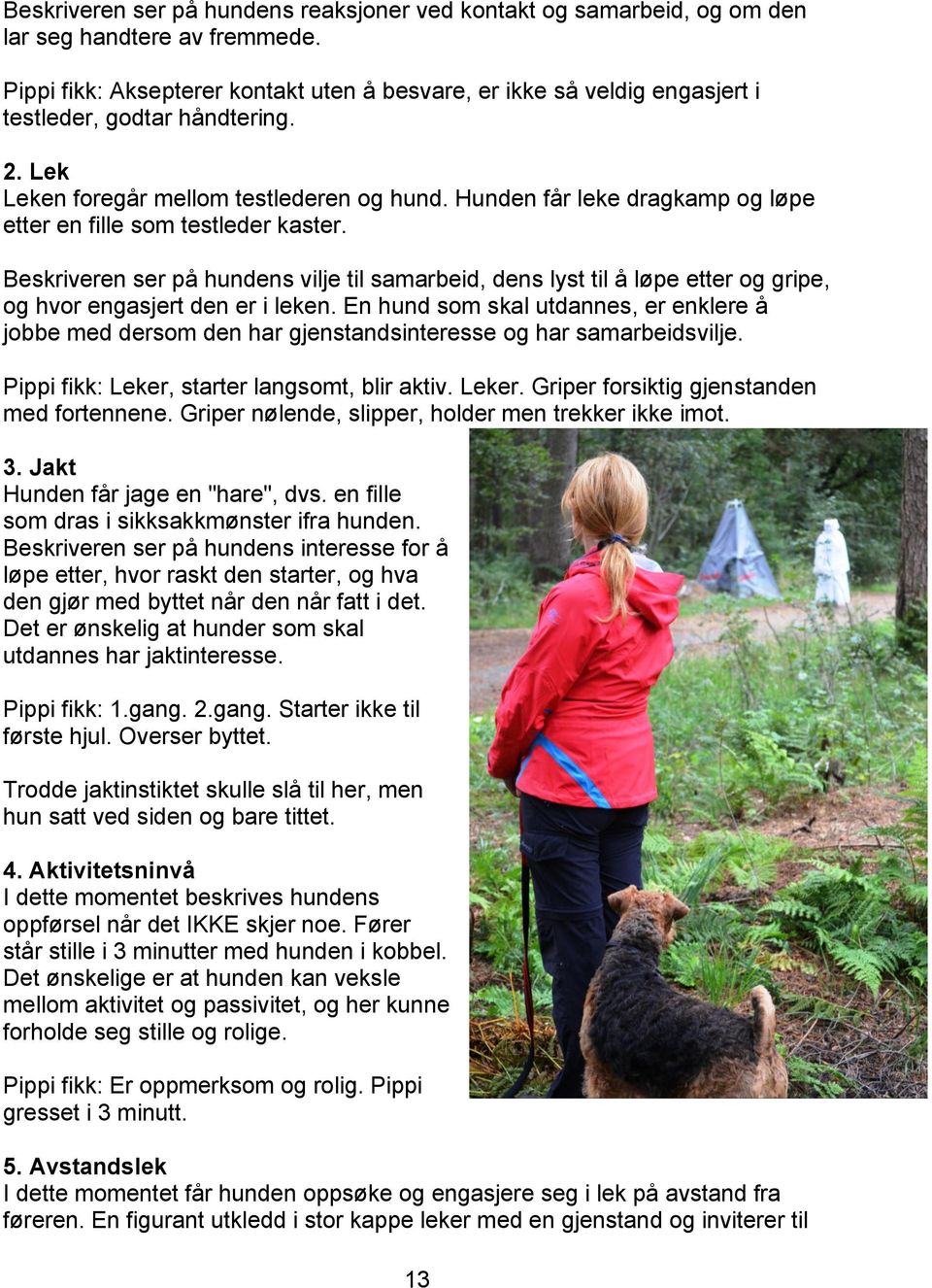 Hunden får leke dragkamp og løpe etter en fille som testleder kaster. Beskriveren ser på hundens vilje til samarbeid, dens lyst til å løpe etter og gripe, og hvor engasjert den er i leken.