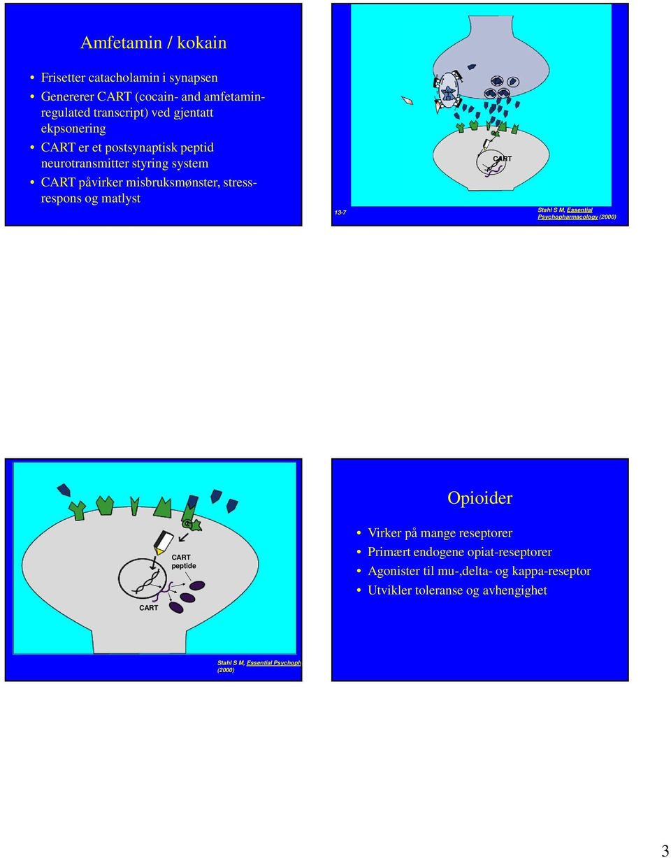 misbruksmønster, stressrespons og matlyst 3-7 CART Opioider CART peptide Virker på mange reseptorer Primært