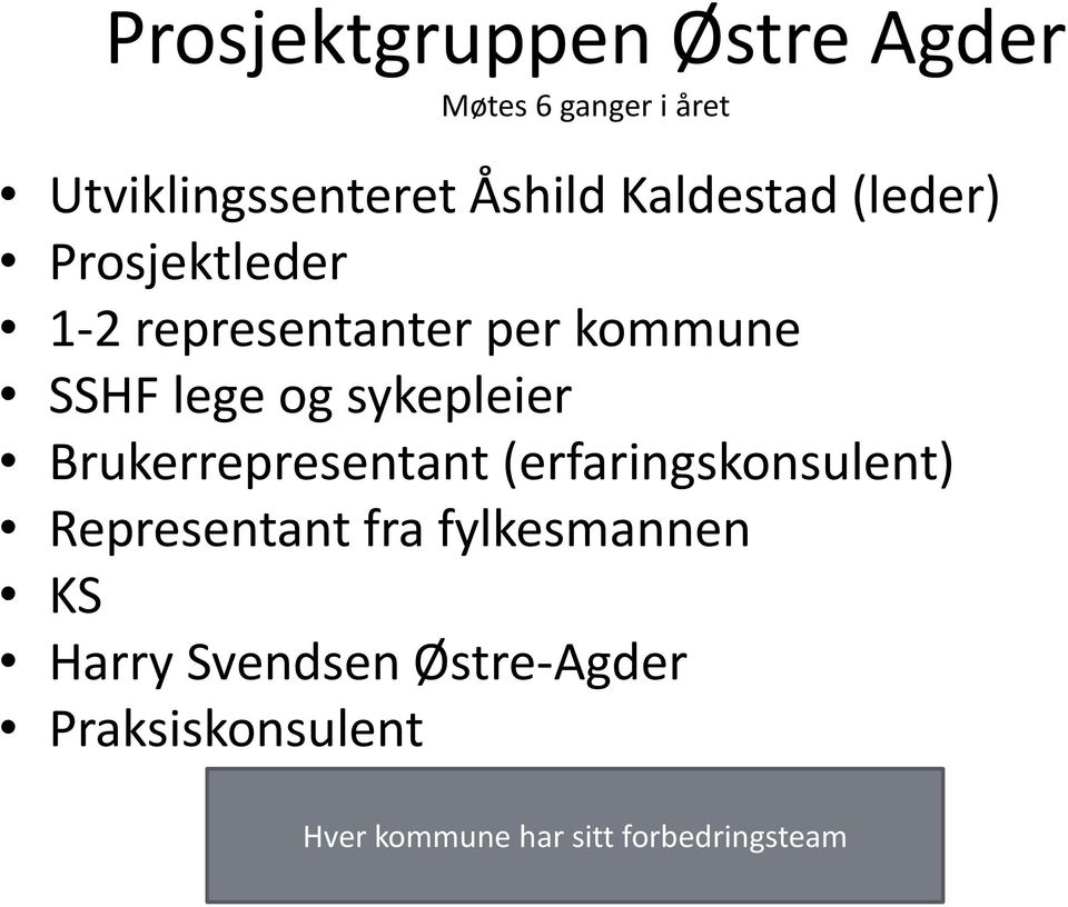 sykepleier Brukerrepresentant (erfaringskonsulent) Representant fra