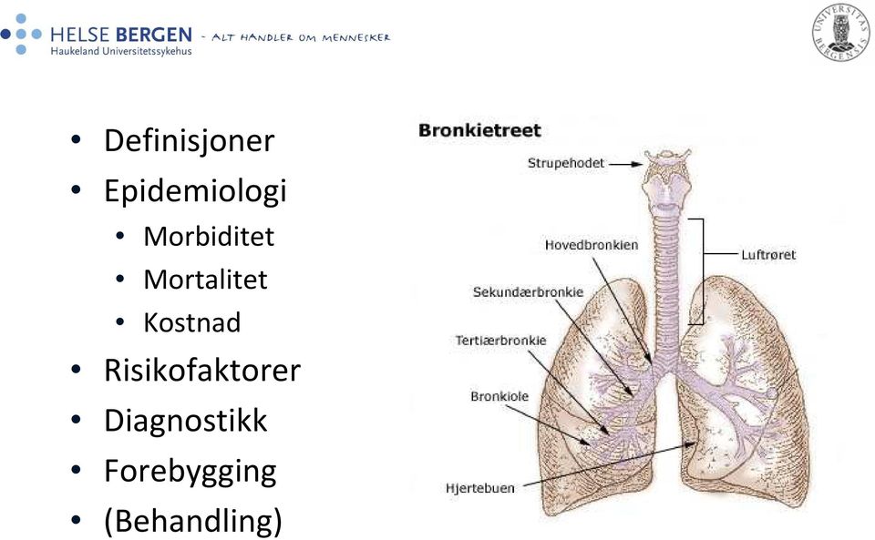 Kostnad Risikofaktorer