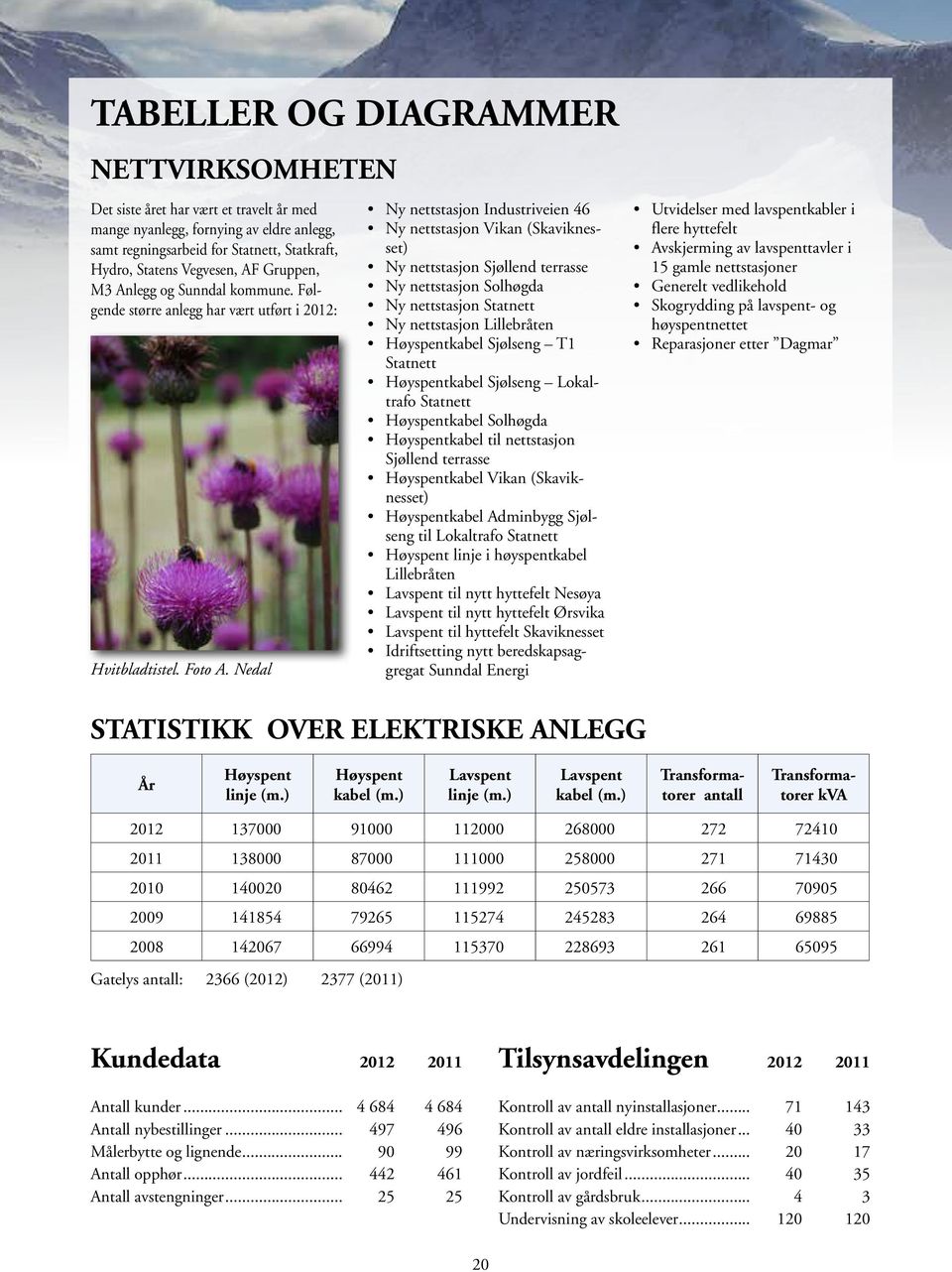 Nedal Ny nettstasjon Industriveien 46 Ny nettstasjon Vikan (Skaviknesset) Ny nettstasjon Sjøllend terrasse Ny nettstasjon Solhøgda Ny nettstasjon Statnett Ny nettstasjon Lillebråten Høyspentkabel