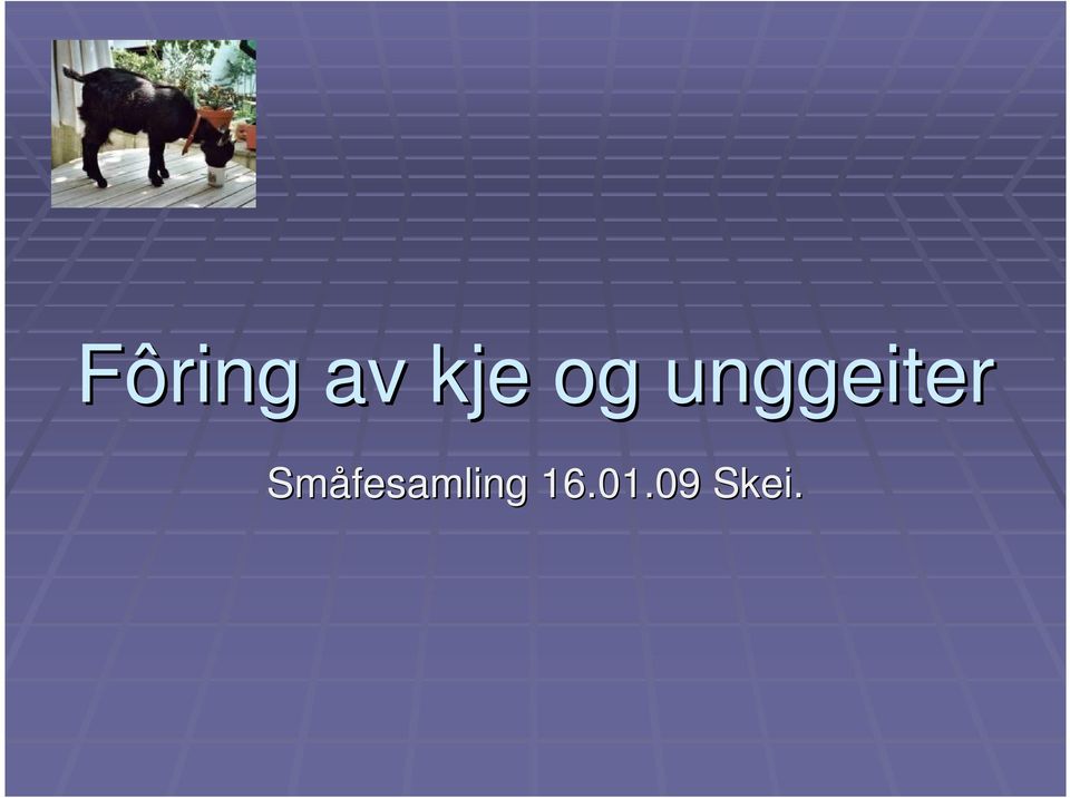 Småfesamling