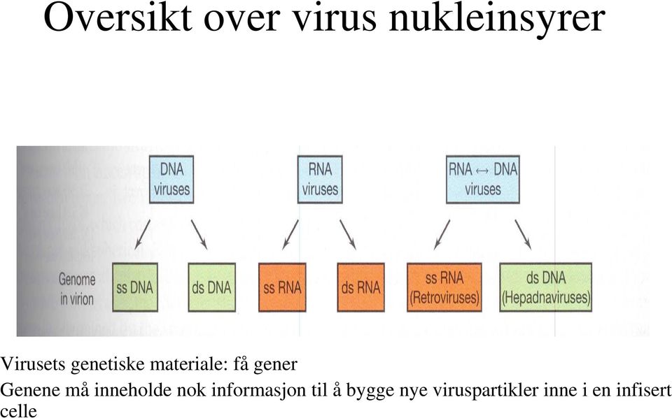 Genene må inneholde nok informasjon til