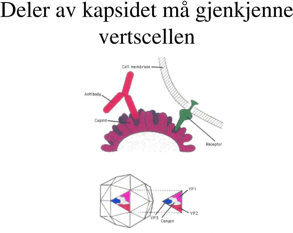 må