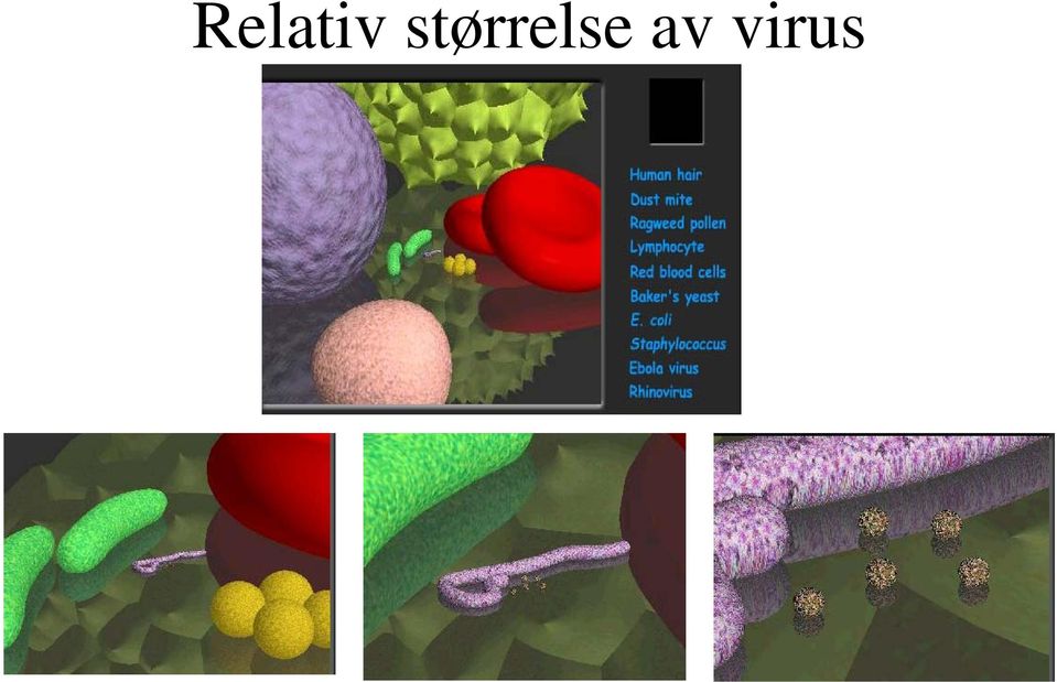 av virus