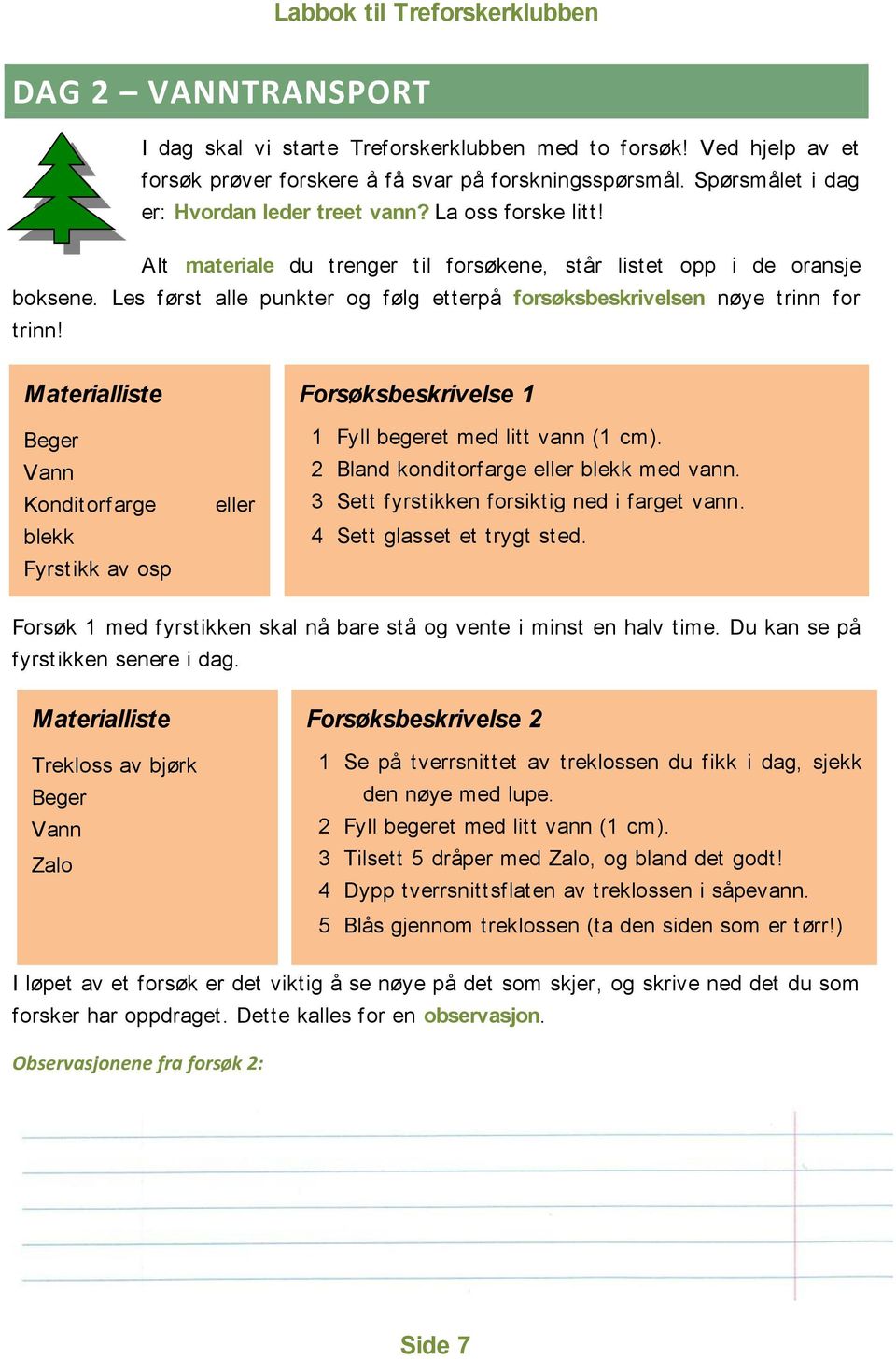 Materialliste Beger Vann Konditorfarge blekk Fyrstikk av osp eller Forsøksbeskrivelse 1 1 Fyll begeret med litt vann (1 cm). 2 Bland konditorfarge eller blekk med vann.