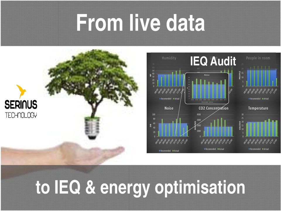 Audit to IEQ