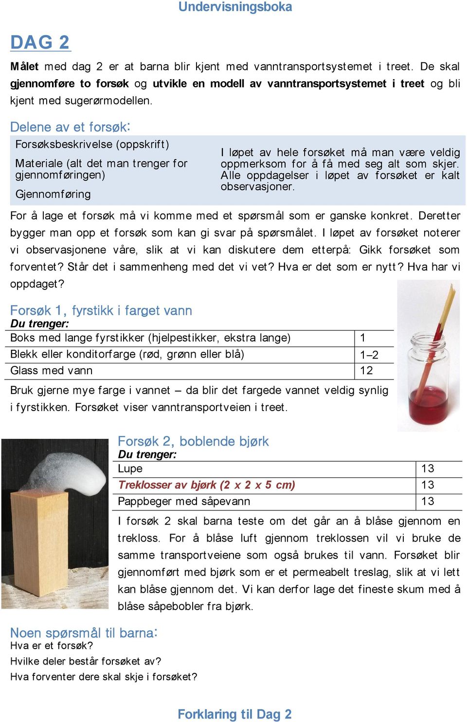 Delene av et forsøk: Forsøksbeskrivelse (oppskrift) Materiale (alt det man trenger for gjennomføringen) Gjennomføring I løpet av hele forsøket må man være veldig oppmerksom for å få med seg alt som