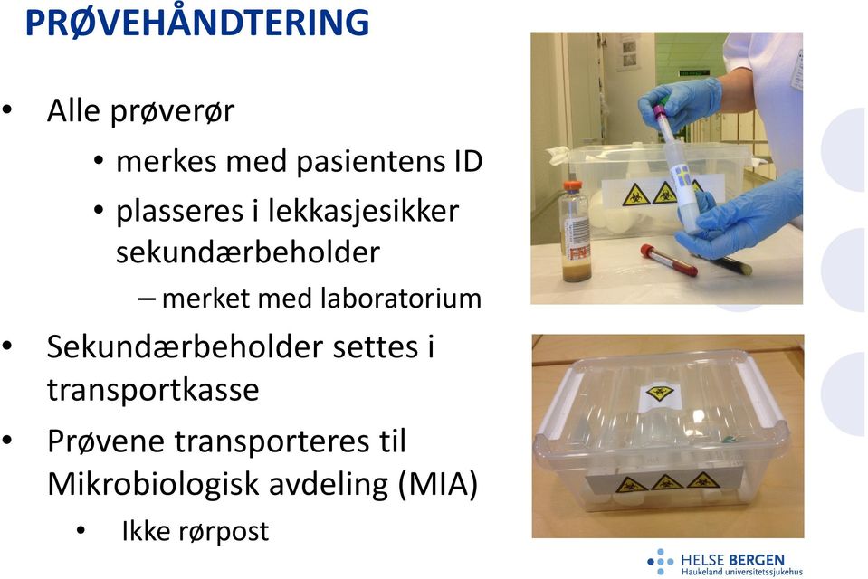 laboratorium Sekundærbeholder settes i transportkasse