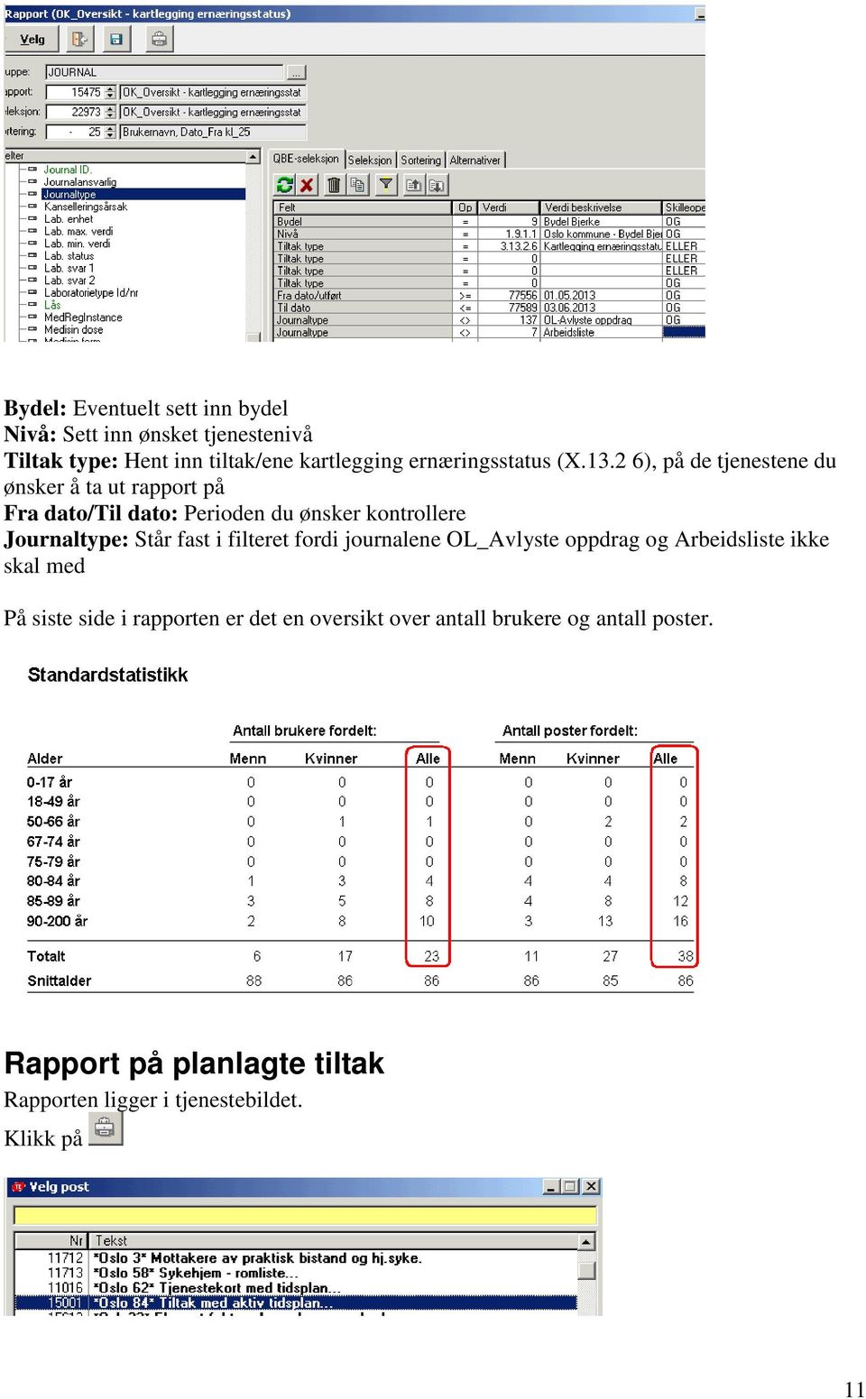 2 6), på de tjenestene du ønsker å ta ut rapport på Fra dato/til dato: Perioden du ønsker kontrollere Journaltype: Står