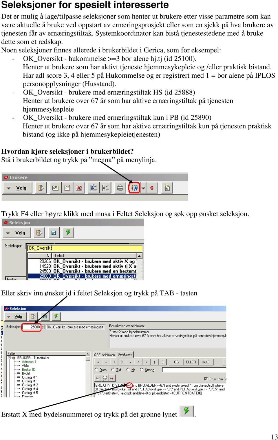 Noen seleksjoner finnes allerede i brukerbildet i Gerica, som for eksempel: - OK_Oversikt - hukommelse >=3 bor alene hj.tj (id 25100).