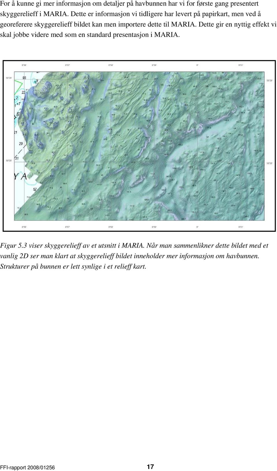 Dette gir en nyttig effekt vi skal jobbe videre med som en standard presentasjon i MARIA. Figur 5.3 viser skyggerelieff av et utsnitt i MARIA.