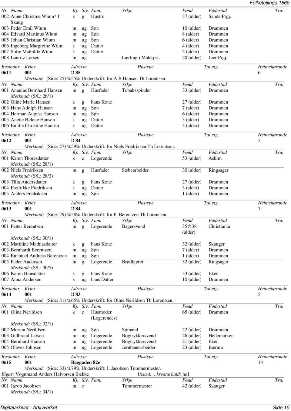 (alder) Drammen 007 Sofie Mathilde Wium k ug Datter 2 (alder) Drammen 008 Lauritz Larsen m ug Lærling i Malerprf. 20 (alder) Lier Prgj. 0611 001!
