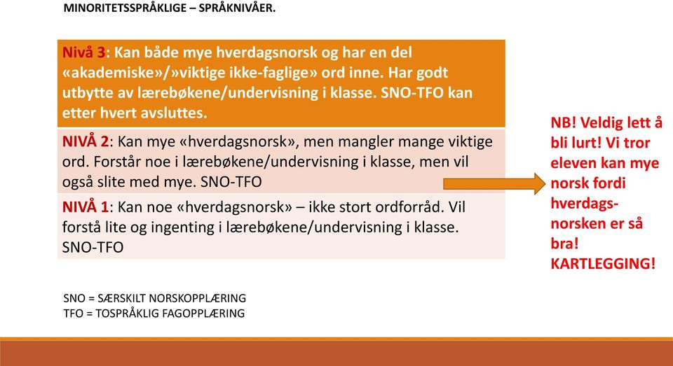 Forstår noe i lærebøkene/undervisning i klasse, men vil også slite med mye. SNO-TFO NIVÅ 1: Kan noe «hverdagsnorsk» ikke stort ordforråd.