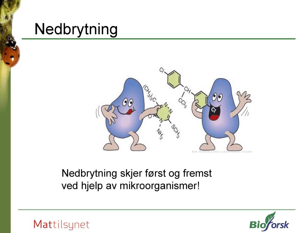 Grunnbok Nedbrytning skjer først