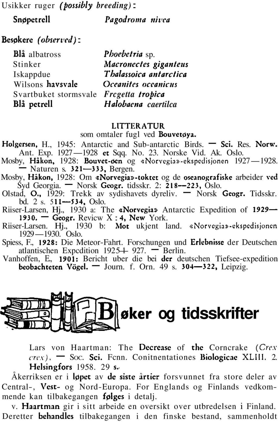 fugl ved Bouvetpya. Holgcrsen, H., 1945: Antarctic and Sub-antarctic Birds. - Sci. Res. Nora.. Ant. Exp. 1927-1928 et Sqq. No. 23. Norske Vid. Ak. Oslo. Mosby, Hikon.