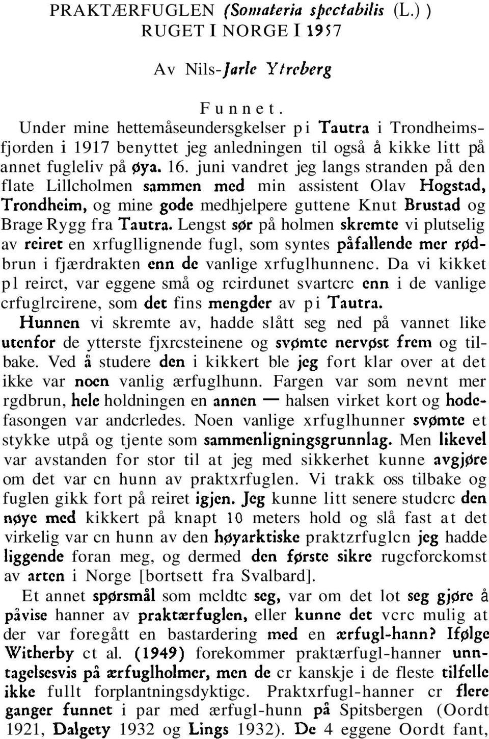 juni vandret jeg langs stranden på den flate Lillcholmen sammcn mcd min assistent Olav Hogstad, Trondheim, og mine godc medhjelpere guttene Knut Brustad og Brage Rygg fra Tautra.