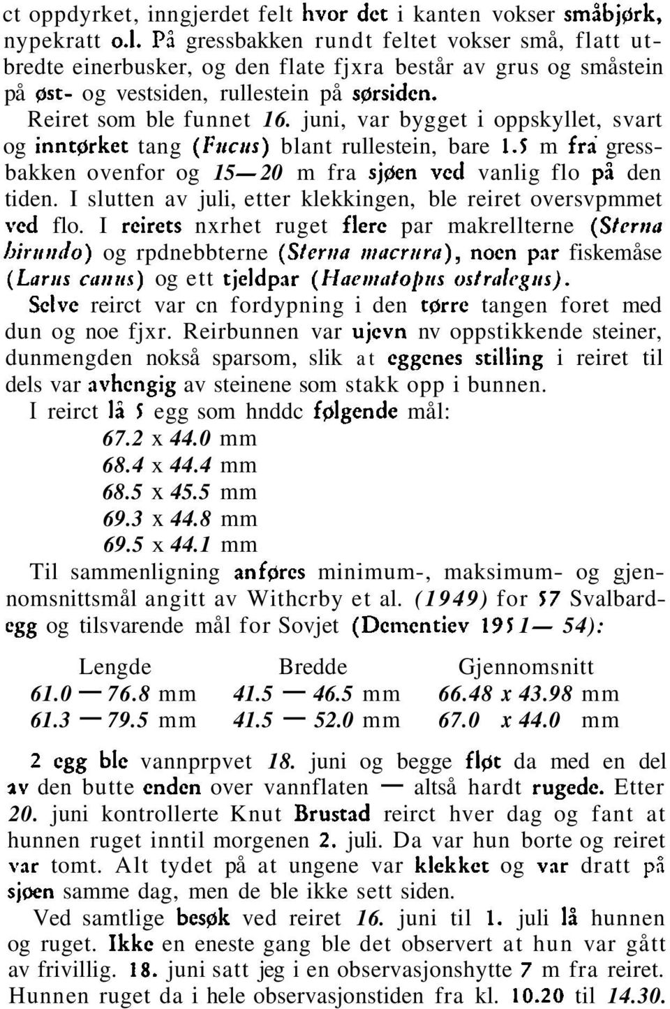 juni, var bygget i oppskyllet, svart og inntprket tang (Fticvs) blant rullestein, bare 1.5 m fri gressbakken ovenfor og 15-20 m fra sjgen ved vanlig flo pi den tiden.