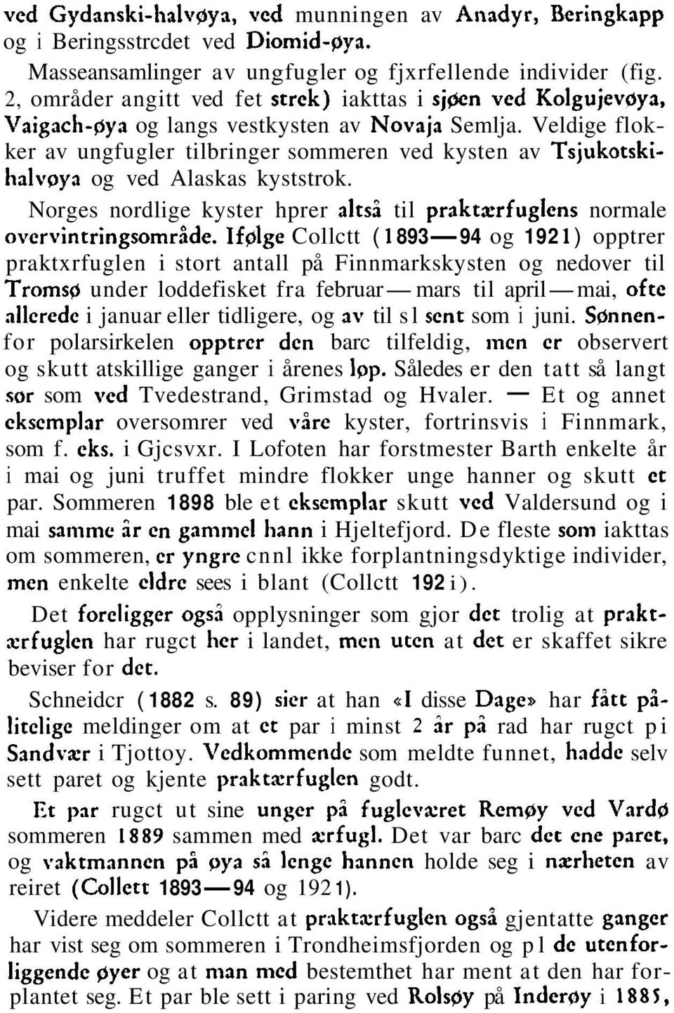 Veldige flokker av ungfugler tilbringer sommeren ved kysten av Tsjukotskihalvpya og ved Alaskas kyststrok. Norges nordlige kyster hprer altsi til praktxrfuglcns normale overvintringsomrlde.