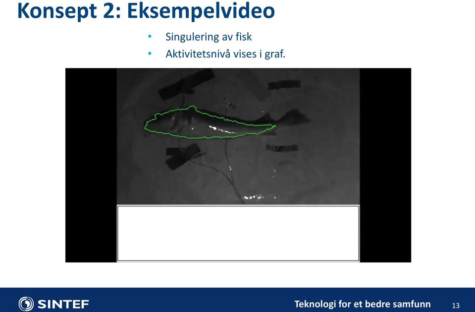 Singulering av