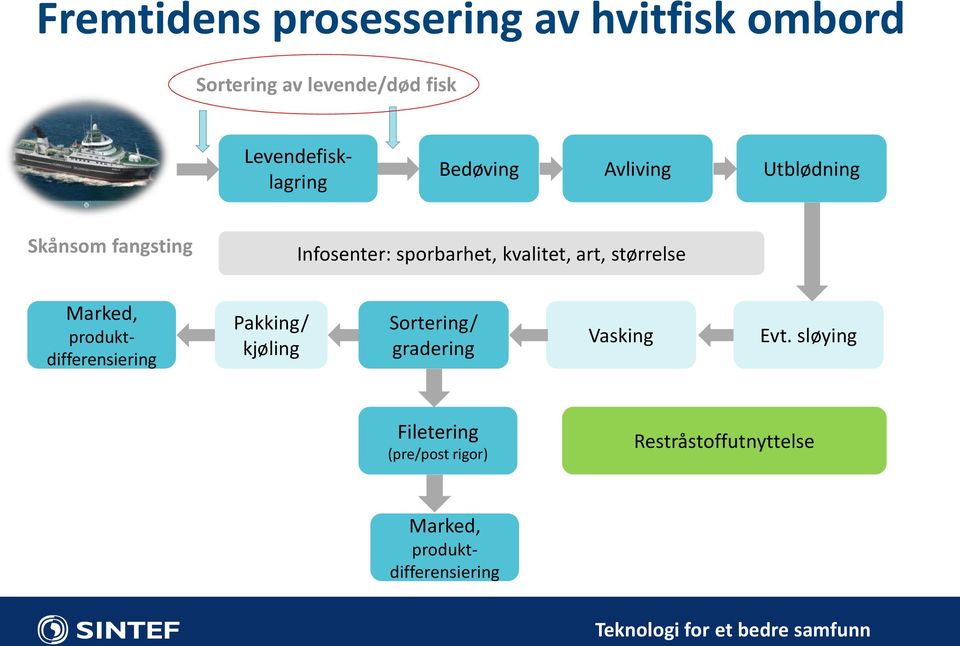 kvalitet, art, størrelse Marked, produktdifferensiering Pakking/ kjøling Sortering/