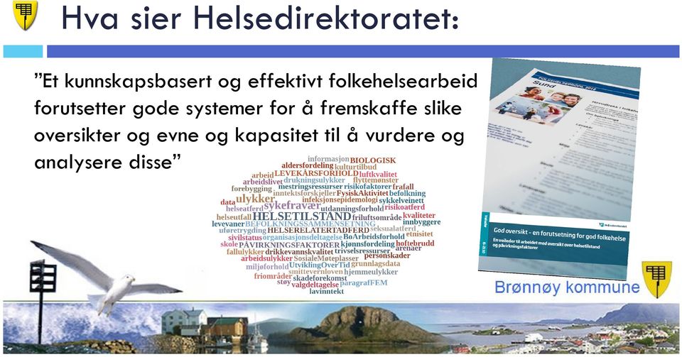 systemer for å fremskaffe slike oversikter og